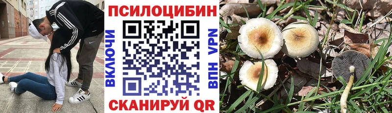 Псилоцибиновые грибы мицелий  мориарти наркотические препараты  Колпашево  hydra рабочий сайт 